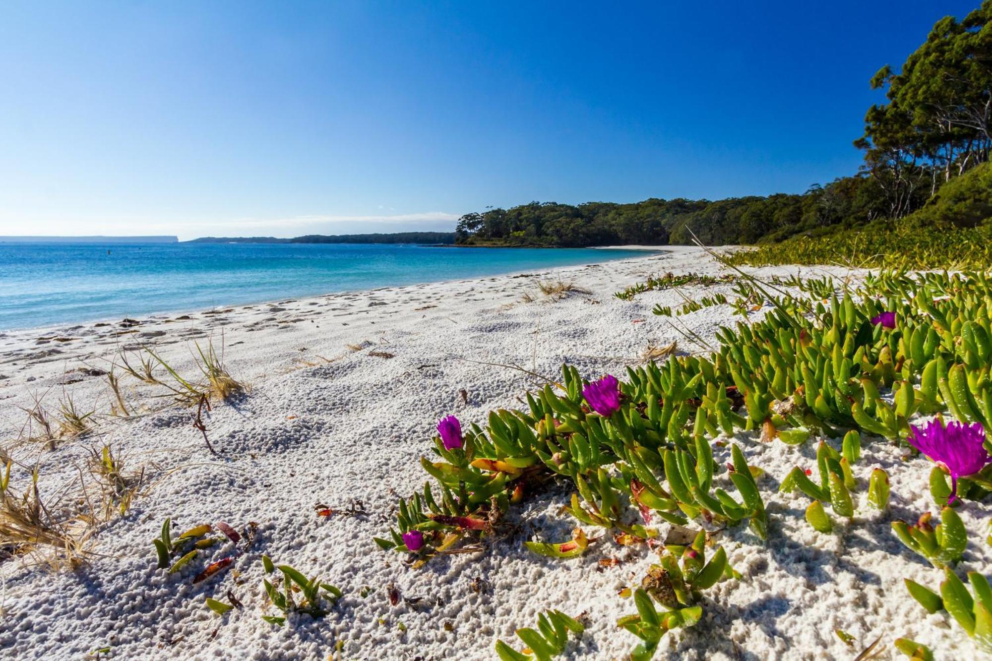 Vila Bay And Bush Jervis Bay Huskisson Exteriér fotografie